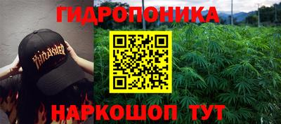 прущие грибы Ижевск