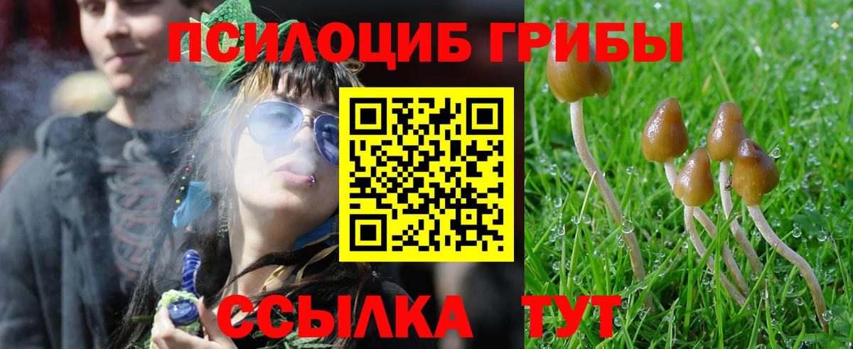 Галлюциногенные грибы MAGIC MUSHROOMS Троицк